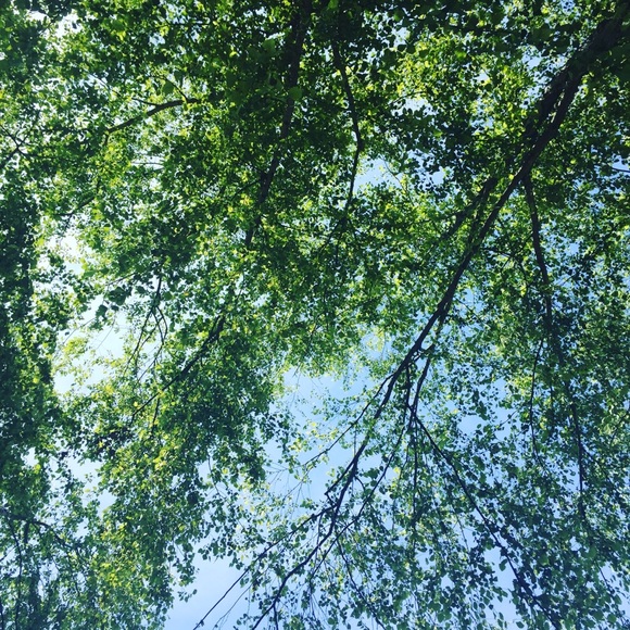 Meet your Posher, Bella - Picture 1 of 1